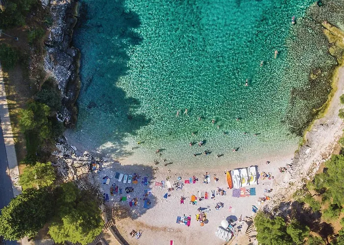 Cozy In With Wifi Διαμέρισμα