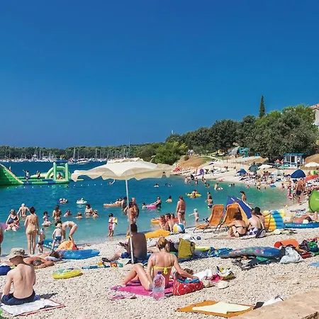 Cozy In With Wifi * Póla